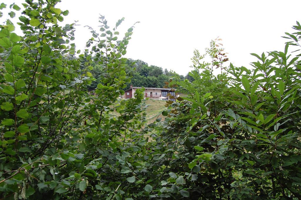 Sere Di Sosta Bagnolo Piemonte Zewnętrze zdjęcie